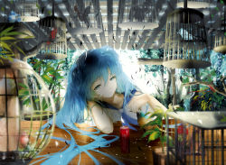 Rule 34 | 1girl, animal, arm support, beak, bird, birdcage, blue eyes, blue hair, blue ribbon, blurry, cage, can, coca-cola, collarbone, depth of field, drink can, expressionless, feathers, flower pot, hair between eyes, half-closed eyes, hatsune miku, head rest, highres, indoors, looking at viewer, matching hair/eyes, neckerchief, plant, potted plant, ribbon, sa&#039;yuki, shirt, short sleeves, simple background, soda can, solo, table, tree, tsurime, upper body, vocaloid, white background, white shirt, wooden table