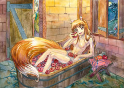 Rule 34 | 1boy, 1girl, animal ears, apple, bath, bathing, bathtub, breasts, brown hair, craft lawrence, fang, food, fruit, happy, heart, heart-shaped eyes, holo, mixed-sex bathing, mouse (animal), navel, nipples, nude, red eyes, saikonoo, shared bathing, spice and wolf, tail, water, window, wolf, wolf ears, wolf tail