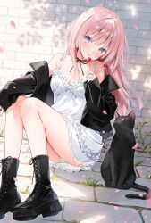Rule 34 | 1girl, black cat, black footwear, black jacket, black ribbon, blush, boots, brick floor, brick wall, candy, cat, collarbone, commentary, cross-laced footwear, dress, food, frilled dress, frills, head tilt, highres, holding, holding candy, holding food, holding lollipop, jacket, knees up, lace-up boots, leather, leather jacket, lollipop, long hair, long sleeves, looking at viewer, looking up, neck ribbon, original, panties, pantyshot, petals, pink eyes, pink hair, ribbon, sitting, sleeveless, sleeveless dress, sleeves past wrists, smile, sundress, symbol-only commentary, thighs, underwear, weri, white dress, white panties, yellow eyes