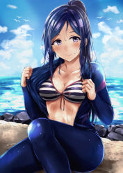 Rule 34 | 10s, 1girl, bikini, bikini top only, bird, blue hair, blush, bodysuit, breasts, cleavage, closed mouth, collarbone, diving suit, glint, highres, horizon, knee up, large breasts, long hair, looking at viewer, love live!, love live! school idol festival, love live! school idol project, love live! sunshine!!, matsuura kanan, napo8593, ocean, open bodysuit, open clothes, ponytail, puddle, purple eyes, sitting, smile, solo, striped bikini, striped clothes, swimsuit, tareme, undressing, water, water drop, wet, wetsuit