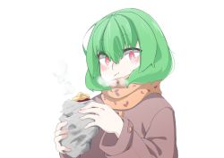 Rule 34 | 1girl, :t, blush, breath, bright pupils, brown coat, chewing, closed mouth, coat, eating, female focus, foil, food, green hair, hair between eyes, hands up, highres, holding, holding food, long sleeves, looking at viewer, m3 (gardevoir m3), orange scarf, original, red eyes, roasted sweet potato, scarf, short hair, sidelocks, simple background, solo, steam, sweet potato, upper body, white background, white pupils, winter clothes