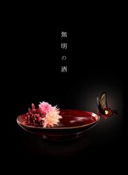 Rule 34 | animal focus, black background, blood, bowl, brown butterfly, bug, butterfly, commentary request, flower, flower request, glowing butterfly, highres, insect, m k kanoe, no humans, original, pink flower, red flower, translation request, yellow flower