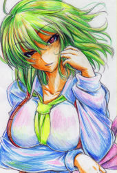 Rule 34 | 1girl, ascot, bad id, bad pixiv id, breasts, colored pencil (medium), female focus, green hair, highres, kazami yuuka, kitazinger, large breasts, red eyes, short hair, solo, touhou, traditional media, upper body, vest