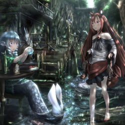 Rule 34 | 2girls, animal ears, bare shoulders, barefoot, bird, blue hair, blush, book, book stack, boots, unworn boots, brown hair, cirno, cross-laced footwear, dress, fins, full body, glass, head fins, highres, imaizumi kagerou, japanese clothes, kimono, knee boots, lace-up boots, long hair, long sleeves, looking at another, mermaid, monster girl, multiple girls, mystia lorelei, mystia lorelei (bird), nail polish, off shoulder, open mouth, partially submerged, pops, scenery, shoes, unworn shoes, short hair, sitting, smile, stairs, table, tail, touhou, wakasagihime, water, wet, wide sleeves, wolf ears, wolf tail