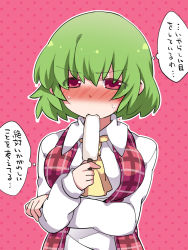 Rule 34 | 1girl, bad id, bad pixiv id, blush, eating, food, green hair, hammer (sunset beach), ice cream, kazami yuuka, looking at viewer, red eyes, solo, sweat, touhou, translation request