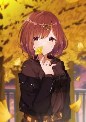 Rule 34 | 1girl, :o, black jacket, blurry, blurry background, breasts, brown eyes, brown hair, brown hoodie, brown skirt, commentary request, day, depth of field, drawstring, ginkgo leaf, hair ornament, hairclip, hand up, highres, higuchi madoka, hood, hoodie, idolmaster, idolmaster shiny colors, jacket, leaf, mole, mole under eye, off shoulder, open clothes, open jacket, outdoors, parted lips, plaid, plaid skirt, skirt, small breasts, solo, taiyaki (astre), tree, upper body