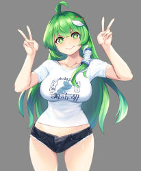 Rule 34 | + +, 1girl, ahoge, alternate costume, breasts, closed mouth, clothes writing, cowboy shot, denim, denim shorts, double v, frog hair ornament, green eyes, green hair, grey background, hair ornament, highres, kochiya sanae, large breasts, long hair, looking at viewer, open clothes, open shorts, shirt, short sleeves, shorts, simple background, smile, snake hair ornament, solo, standing, t-shirt, tarmo, thigh gap, thighs, touhou, translation request, v, v-shaped eyebrows, white shirt, wide hips