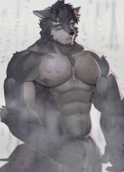 Rule 34 | 1boy, abs, bara, beard, chest tuft, covering privates, covering crotch, ears down, facial hair, feet out of frame, furry, furry male, highres, large pectorals, looking at mirror, looking at viewer, male focus, mature male, mirror, muscular, muscular male, navel, neumo, nipples, nude cover, original, pectorals, sad, sanpaku, short hair, solo, standing, steam, stomach, thick eyebrows, wet, wet hair, wolf boy