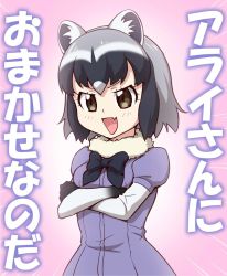 Rule 34 | 10s, 1girl, :d, animal ears, bad id, bad twitter id, blush, brown eyes, common raccoon (kemono friends), fang, fur collar, kemono friends, ogry ching, open mouth, pink background, raccoon ears, short hair, short sleeves, smile, solo, translated