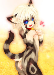 Rule 34 | 1girl, animal ears, ass, bell, blue eyes, blush, cat, cat ears, cat tail, collar, female focus, furry, furry female, gradient background, heart, looking at viewer, neck bell, open mouth, shimane karin, smile, solo, tail, tashiro yuu, white hair