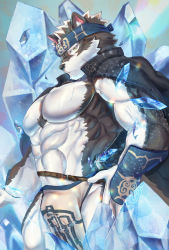 Rule 34 | 1boy, abs, ainu, animal ears, bara, bare pectorals, bulge, chest hair, crystal, feet out of frame, from side, furry, furry male, glaring, grey fur, grey hair, headband, highres, horkeu kamui, ice, looking at viewer, male focus, muscular, muscular male, navel, no nipples, pectorals, pelvic curtain, short hair, solo, stomach, tail, tokyo houkago summoners, two-tone fur, vambraces, white fur, wolf boy, wolf ears, wolf tail, yellow eyes, yukihoshi