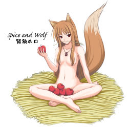 Rule 34 | 00s, 1girl, animal ears, apple, barefoot, brown hair, feet, food, fruit, holding, holding food, holding fruit, holo, long hair, mouth hold, nude, red eyes, solo, spice and wolf, sutein, tail, wheat, wolf ears, wolf tail
