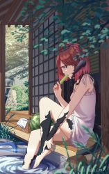 Rule 34 | 1girl, architecture, au ra, warrior of light (ff14), barefoot, brown eyes, building, commission, dragon horns, dragon tail, dress, east asian architecture, final fantasy, final fantasy xiv, food, fruit, highres, horns, jl tan, looking at viewer, popsicle, red hair, short hair, sitting, solo, tail, water, watermelon