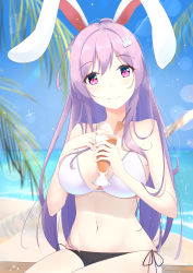 Rule 34 | 1girl, absurdres, animal ears, bare shoulders, bikini, black bikini, blue sky, blurry, blurry background, blush, breasts, cleavage, closed mouth, collarbone, commentary, day, diving penguin, halterneck, hand on own chest, hands up, highres, holding, large breasts, light purple hair, long hair, looking at viewer, midriff, navel, ocean, outdoors, palm tree, pink eyes, rabbit ears, reisen udongein inaba, side-tie bikini bottom, sidelocks, sitting, skindentation, sky, smile, solo, stomach, strap gap, swimsuit, touhou, tree, very long hair, water, white bikini