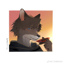 Rule 34 | 1boy, animal ears, ardbert hylfyst, blue eyes, brown hair, chinese commentary, cup, earrings, facial hair, final fantasy, final fantasy xiv, fox boy, fox ears, furrification, furry, furry male, hair between eyes, highres, holding, holding cup, jewelry, looking at viewer, male focus, mbdtz, sakazuki, short hair, smile, solo, stubble, thick eyebrows, upper body, weibo logo, weibo watermark