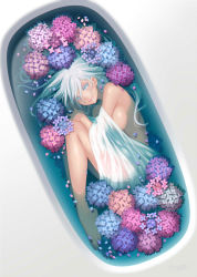 Rule 34 | 1girl, absurdres, barefoot, bathing, bathtub, blue flower, breasts, closed mouth, colored eyelashes, commentary request, dark skin, dark-skinned female, fetal position, flower, from above, full body, highres, hydrangea, looking at viewer, medium breasts, nana mikoto, nude, original, partially submerged, petals, pink flower, pink lips, see-through, grey eyes, silver hair, smile, solo