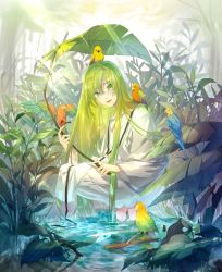 Rule 34 | 1other, :d, ambiguous gender, androgynous, bird, commentary, commentary request, e (h798602056), enkidu (fate), fate/grand order, fate/strange fake, fate (series), grass, green eyes, green hair, head tilt, holding, holding leaf, leaf, long hair, long sleeves, looking at viewer, open mouth, robe, sitting, smile, solo, standing, standing on liquid, tree, very long hair, water, white robe
