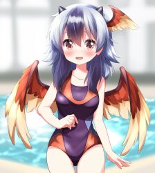 Rule 34 | 1girl, :d, bird girl, bird wings, black hair, black one-piece swimsuit, blurry, blurry background, blush, collarbone, commentary request, cowboy shot, grey hair, head wings, highres, horns, looking at viewer, medium hair, multicolored hair, one-piece swimsuit, open mouth, pool, red eyes, ruu (tksymkw), single head wing, smile, solo, swimsuit, tokiko (touhou), touhou, two-tone hair, wings