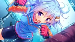 Rule 34 | 1girl, blue hair, blush, breasts, fingerless gloves, game cg, gloves, gym, happy, jacket, kino (kino konomi), kino konomi, konomi (kino konomi), legs, looking away, nakano mei, open mouth, purple eyes, shirogane x spirits, short hair, small breasts, smile, solo, standing, sweat, thighs, training