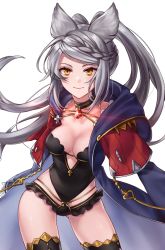 Rule 34 | 1girl, animal ears, black leotard, black thighhighs, blue robe, braid, braided bangs, breasts, brown eyes, cleavage, collarbone, commentary request, contrapposto, cowboy shot, fraux, gem, glowing, gluteal fold, granblue fantasy, grey hair, highres, hood, hood down, hooded robe, leotard, long hair, medium breasts, open clothes, open robe, red gemstone, robe, shiao, sidelocks, simple background, solo, thighhighs, twintails, very long hair, white background