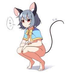 Rule 34 | 1girl, animal ears, barefoot, blush, bottomless, capelet, dated, frown, grey hair, highres, kozakura (dictionary), mouse ears, mouse tail, nazrin, red eyes, short hair, simple background, solo, squatting, tail, touhou, white background