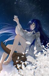 Rule 34 | 1girl, bare legs, blue hair, cang yue (tou xing jiuyue tian), closed mouth, cup, dress, falling petals, from side, glint, highres, holding, holding cup, legs, long hair, long sleeves, night, on roof, petals, rooftop, sash, second-party source, sitting on roof, star (sky), toasting (gesture), tou xing jiuyue tian, white dress, white footwear, white petals, xun xia xx
