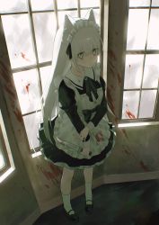 Rule 34 | animal ears, apron, bad id, bad twitter id, black bow, black footwear, black ribbon, blood, blood on clothes, blood splatter, bloody weapon, bow, cat ears, frilled apron, frills, hand on own wrist, highres, holding, holding knife, knife, long hair, long sleeves, looking at viewer, maid, maid apron, maid headdress, mary janes, nia (x x02), original, puffy sleeves, ribbon, shoes, sleeve cuffs, solo, standing, weapon, white eyes, white hair, white legwear, window