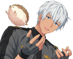 Rule 34 | 1boy, blue eyes, commentary request, earrings, fingernails, gloves, grey gloves, grey hair, hedgehog, helios rising heroes, highres, hoop earrings, jewelry, male focus, open mouth, oscar bale, partial commentary, sekina, short hair, simple background, teeth, upper body, upper teeth only, white background