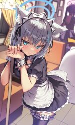 Rule 34 | 2girls, animal ear fluff, animal ears, apron, black dress, black thighhighs, blue archive, blue eyes, breasts, character request, doodle sensei (blue archive), dress, expressionless, frilled dress, frilled thighhighs, frills, grey hair, halo, leaning forward, looking at viewer, maid, maid headdress, medium breasts, medium hair, multiple girls, ryuinu, sensei (blue archive), shiroko (blue archive), solo focus, thighhighs, white apron, wolf ears, wolf girl