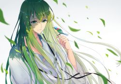 Rule 34 | 1other, ambiguous gender, androgynous, bird, bird on hand, closed mouth, commentary request, enkidu (fate), falling leaves, fate/extra, fate/extra ccc, fate/grand order, fate/strange fake, fate/zero, fate (series), gradient background, green eyes, green hair, jewelry, kusaka kou, leaf, light green hair, light smile, long hair, long sleeves, male focus, robe, shade, shadow, solo, toga, upper body, very long hair, white robe, wide sleeves