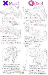 Rule 34 | anatomy, back, commentary, artistic error, feathered wings, highres, how to, lineart, no humans, original, partially colored, spread wings, translation request, wings, yoshimura takuya