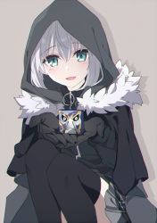 Rule 34 | 1girl, add (fate), aqua eyes, black cloak, black gloves, black jacket, black thighhighs, cloak, commentary request, cupping hands, fate (series), fur collar, gloves, gray (fate), grey background, grey skirt, hair between eyes, holding, hood, hood up, hooded cloak, jacket, knees up, long sleeves, looking at viewer, lord el-melloi ii case files, miniskirt, open mouth, own hands together, pleated skirt, shadow, short hair, silver hair, simple background, skirt, smile, solo, thighhighs, tsuezu, zettai ryouiki