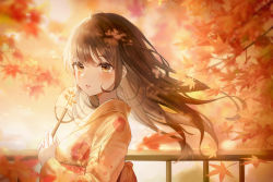 Rule 34 | 1girl, absurdres, autumn, blush, brown eyes, brown hair, chaerom, eyebrows, hand fan, highres, holding, holding fan, japanese clothes, kimono, leaf, long hair, looking at viewer, maple leaf, maple tree, original, parted lips, tree