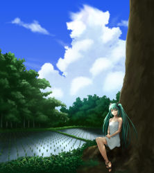 Rule 34 | 1girl, cloud, day, din (raiden), dress, green eyes, green hair, hatsune miku, highres, long hair, matching hair/eyes, rice paddy, sitting, sky, smile, solo, tree, twintails, vocaloid