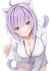 Rule 34 | 1girl, :3, absurdres, ahoge, animal collar, animal ear fluff, animal ears, bent over, black collar, blunt bangs, blush, breasts, cat ears, cat girl, cat tail, cleavage, closed mouth, collar, commentary, cowboy shot, dress shirt, fingernails, highres, hololive, itou konnyaku, large breasts, long sleeves, looking at viewer, nekomata okayu, nekomata okayu (oversized shirt), official alternate costume, partially unbuttoned, purple eyes, purple hair, shirt, short hair, smile, solo, tail, virtual youtuber, white shirt