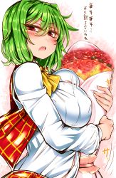 Rule 34 | 1girl, blush, bouquet, breasts, flower, green hair, highres, kazami yuuka, large breasts, looking at viewer, open clothes, open mouth, open vest, red eyes, red rose, roki (hirokix), rose, shirt, skirt, skirt set, solo, touhou, translated, upper body, vest