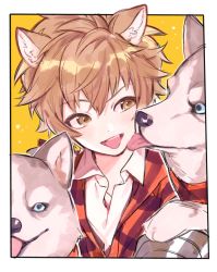 Rule 34 | 1boy, animal ears, black border, border, brown eyes, brown hair, dog, dog ears, licking another&#039;s face, gran (granblue fantasy), granblue fantasy, ketsudrum, licking, looking at another, lumberjack (granblue fantasy), male focus, open mouth, plaid, plaid shirt, shirt, simple background, smile, tongue, tongue out, yellow background