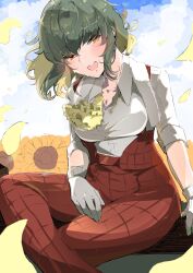 Rule 34 | 1girl, :d, absurdres, alternate eye color, ascot, blue sky, blush, breasts, cleavage, cloud, collared shirt, commentary request, day, falling petals, feet out of frame, figure four sitting, flower, gloves, green hair, head tilt, highres, itocoh, kazami yuuka, large breasts, looking at viewer, medium bangs, open clothes, open mouth, open vest, orange eyes, pants, petals, plaid, plaid pants, plaid vest, red pants, red vest, round teeth, shirt, shirt tucked in, short hair, sky, sleeves rolled up, smile, solo, sparkle, sunflower, teeth, touhou, upper teeth only, vest, white gloves, white shirt, yellow ascot