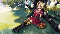Rule 34 | 1girl, apple, basket, blonde hair, boots, closed eyes, commission, deathpolca, demons roots, dress, food, fruit, full body, grass, guinii4, highres, long hair, nature, one side up, outdoors, sleeping, solo, thighhighs, tree, zettai ryouiki