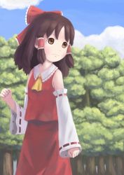 Rule 34 | 1girl, bad id, bad pixiv id, brown eyes, brown hair, female focus, flat chest, forest, hakurei reimu, imperishable night, nature, outdoors, plant, skirt, sky, solo, touhou, unyagi