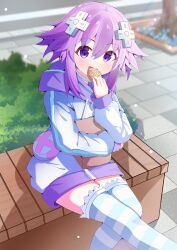 Rule 34 | 1girl, absurdres, animal, bag, bag on lap, blue thighhighs, blush, brown bag, ceta2127, choujigen game neptune, d-pad, d-pad hair ornament, eating, fang, fish, food, grass, hair ornament, highres, holding, holding animal, holding fish, hood, hood down, hoodie, leg up, long sleeves, looking at viewer, neptune (neptunia), neptune (series), open mouth, outdoors, purple eyes, purple hair, purple hood, short hair, sitting, smile, solo, striped clothes, striped thighhighs, taiyaki, thighhighs, wagashi, white hoodie, white thighhighs