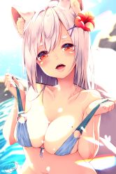 Rule 34 | 1girl, animal ear fluff, animal ears, bikini, bikini pull, blue bikini, blush, breasts, chita (ketchup), clothes pull, collarbone, commentary request, day, flower, fox ears, fox tail, front-tie bikini top, front-tie top, grey hair, hair flower, hair ornament, hands up, highres, large breasts, lifting own clothes, looking at viewer, mole, mole on breast, navel, o-ring, o-ring top, open mouth, original, outdoors, red eyes, red flower, signature, skindentation, solo, strap pull, swimsuit, tail, thick eyebrows, upper body, water, x hair ornament