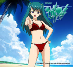 10s 1girl beach bikini blue_eyes green_hair honjou_mikaze palm_tree pointing stratos_4 swimsuit tagme tree