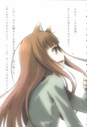 Rule 34 | 00s, 1girl, animal ears, ayakura juu, highres, holo, long hair, novel illustration, official art, solo, spice and wolf, tail, wolf ears