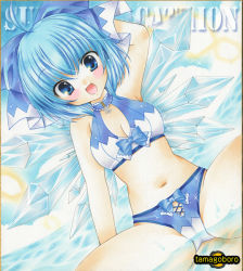 Rule 34 | 1girl, :d, artist name, bikini, blue eyes, blue hair, blush, breasts, choker, cirno, cleavage, hair ribbon, ice, ice wings, looking at viewer, matching hair/eyes, navel, ocean, open mouth, partially submerged, ribbon, short hair, smile, solo, swimsuit, tamagoboro, touhou, traditional media, water, wings