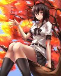 Rule 34 | 1girl, autumn leaves, black bow, black bowtie, black hair, black skirt, black socks, bow, bowtie, breasts, collared shirt, day, frilled skirt, frills, hair between eyes, hat, highres, in tree, looking at viewer, matsunaga garana, medium breasts, parted lips, puffy short sleeves, puffy sleeves, red eyes, shameimaru aya, shirt, short hair, short sleeves, sitting, sitting in tree, skirt, smile, socks, solo, tokin hat, touhou, tree, white shirt