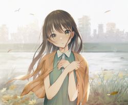 Rule 34 | 1girl, blush, brown eyes, brown hair, cityscape, commentary request, day, flower, green shirt, head tilt, highres, jacket, jacket on shoulders, long hair, looking at viewer, open clothes, open jacket, orange jacket, original, outdoors, parted lips, river, riverbank, see-through, shirt, smile, solo, unbuttoned, upper body, utaka (anyoanyot), yellow flower