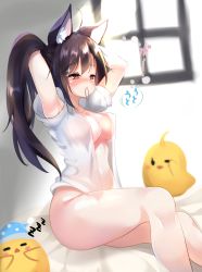 Rule 34 | 1girl, absurdres, akiba monaka, animal ear fluff, animal ears, arched back, arms up, azur lane, bedroom, blush, bottomless, breasts, closed mouth, collarbone, collared shirt, commentary request, hair tie in mouth, half-closed eyes, highres, indoors, large breasts, long hair, mouth hold, no bra, nose blush, on bed, open clothes, open shirt, ponytail, shigure (azur lane), shirt, short sleeves, sitting, sleepy, slit pupils, solo, tying hair, up sleeve, white shirt, wing collar, wolf ears, wolf girl, zzz