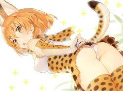 Rule 34 | 10s, 1girl, animal ears, ass, bare shoulders, blonde hair, blush, bow, bowtie, breasts, cat ears, cat tail, commentary request, elbow gloves, from below, gloves, ikeya, kemono friends, looking at viewer, looking down, open mouth, panties, pantyshot, serval (kemono friends), serval print, serval tail, short hair, skirt, sleeveless, solo, standing, tail, thighhighs, underwear, upskirt, white panties, yellow eyes