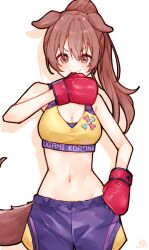 Rule 34 | 1girl, absurdres, animal ears, bare shoulders, blush, boxing gloves, boxing shorts, breasts, brown eyes, brown hair, cleavage, dog ears, dog girl, dog tail, hair between eyes, hair ornament, highres, hololive, inugami korone, long hair, looking at viewer, ma draws, medium breasts, navel, ponytail, shorts, smile, solo, sports bra, tail, virtual youtuber, yellow sports bra